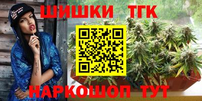 тгк Ноябрьск