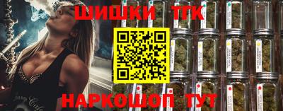 тгк Ноябрьск